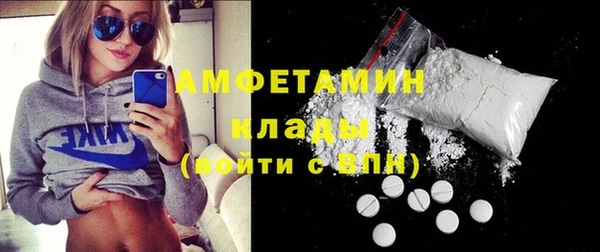 мет Алексин