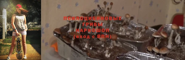мет Алексин