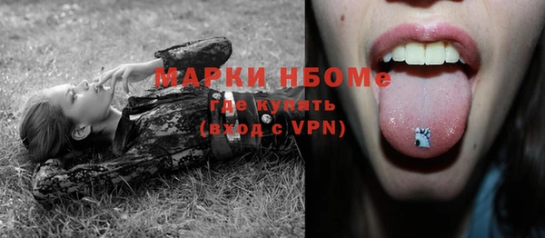 мет Алексин