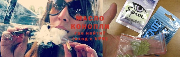 мет Алексин