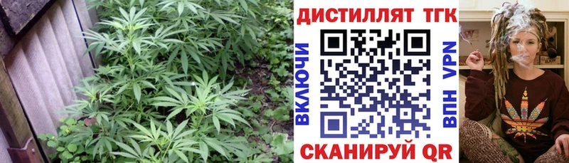 Дистиллят ТГК жижа Наволоки