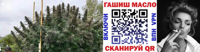 купить Наволоки ТГК гашишное масло