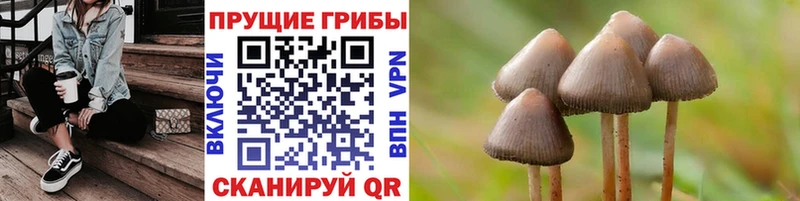 Псилоцибиновые грибы Magic Shrooms  Наволоки 